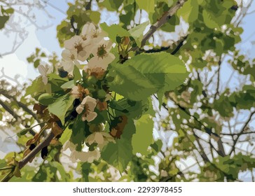 Branch of a blossoming cherry tree with green leaves and flowers