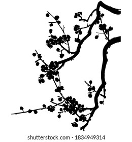 A branch of a blossoming fruit tree. Hand drawn vector silhouette of plum mei, wild apricots and sakura. 
Stock illustration of black and white  tree branch.