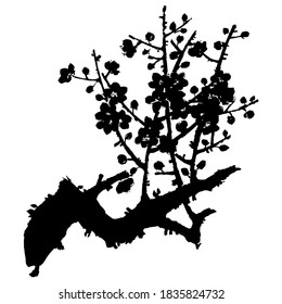 Una rama de un árbol frutal floreciente. Silueta vectorial dibujada a mano de ciruela, albaricoques salvajes y sakura. 
Ilustración bursátil de la rama de árbol blanco y negro.