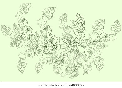 The branch of blossoming jasmine. Decorative composition in a circle. Vector. Use printed materials, signs, items, websites, maps, posters, postcards, packaging.