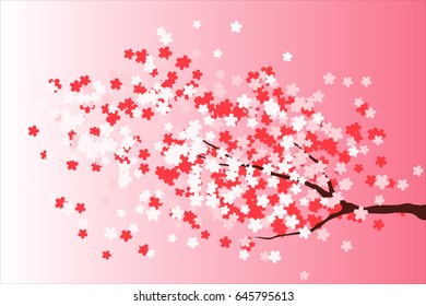 branch of blossoming sakura