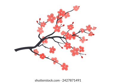 Branch of blossoming sakura on a white background.
