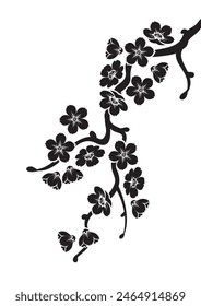Rama de sakura floreciente, silueta, plantilla de Vector.