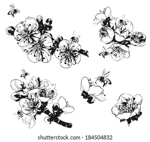 branch of a blossoming tree with bees for your design, black and white