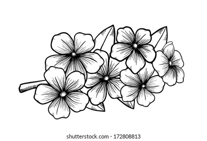 branch of a blossoming tree in graphic black white style, drawing by hand. Symbol of spring