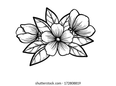 branch of a blossoming tree in graphic black white style, drawing by hand. Symbol of spring