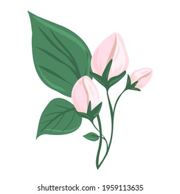 A branch of a blossoming tree. Leaves and flowers. Unblown bud. Isolated vector botanical clip art element for design.