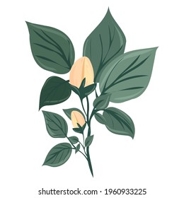 A branch of a blossoming tree. Leaves and flowers. Unblown bud. Isolated vector botanical clip art element for design.