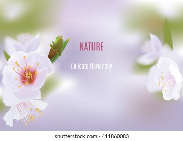  A branch of a blossoming tree. Text. Vector realistic.