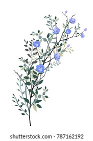 Branch with blue flowers and leaves. Vector illustration. Roses blue.