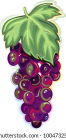 Branch of blue grapes with leaf isolated on white background (vector illustration)