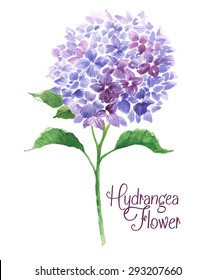 Branch of blue hydrangea. Template of greeting card. Watercolor floral illustration.