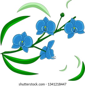 Branch with blue orchids