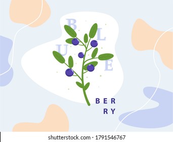 Branch of blueberry vector illustration, berries images. Blueberry vector illustration in violet blue and green color. Blueberry berries images for menu, package design. Cartoon berries images of