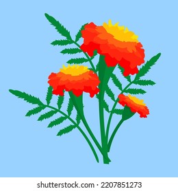 branch of bright flowering marigolds