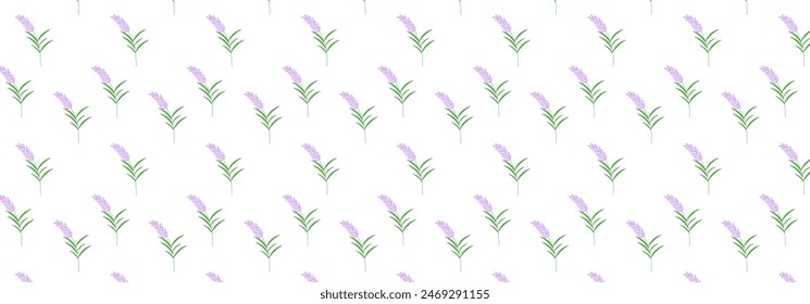 a branch with buds pattern on a transparent background