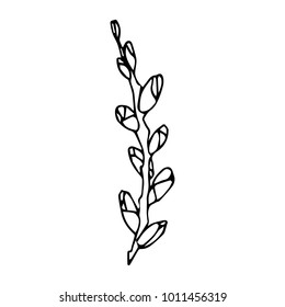 A branch with buds vector illustration. Doodle style. Design, print, logo, decor, textile, paper.