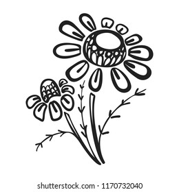 Branch of chamomile icon. Simple illustration of branch of chamomile vector icon for web design isolated on white background