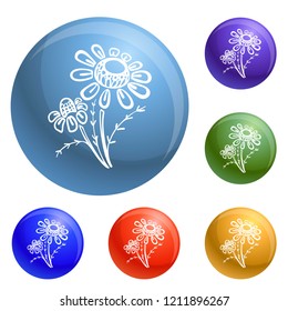 Branch of chamomile icons set vector 6 color isolated on white background