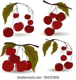 branch with cherries and leaves