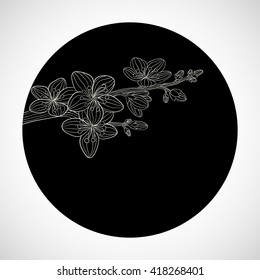 Branch of cherry blossom in black circle