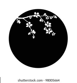 Branch of cherry blossom in black circle