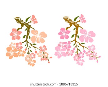 Branch of Cherry blossom branches on white. Vector illustration of Sakura Flowers, Nice Peach blossoms, isolated vectors. Japanese floral. Branches with sakura flower blossoms. Nature vector background. 