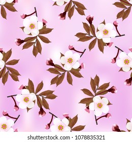 Branch of a cherry blossom floral pattern on light purple abstract background. Sakura flowers seamless texture. Vector
