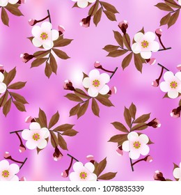 Branch of a cherry blossom floral pattern on lilac abstract background. Sakura flowers seamless texture. Vector