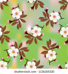 Branch of a cherry blossom floral pattern on green abstract background. Sakura flowers seamless texture. Vector