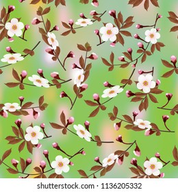 Branch of a cherry blossom floral pattern on green abstract background. Sakura flowers seamless texture. Vector