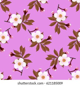 Branch of a cherry blossom floral pattern on a pink background. Sakura flowers seamless texture. Vector