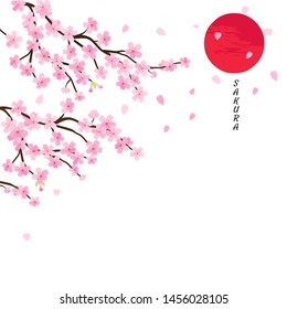Branch of cherry blossom with  hand drawn Sun isolated on white background, oriental symbol