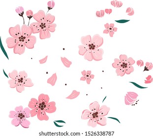 Branch of Cherry blossom on white.Vector illustration Sakura Flower,Nice Peach blossom isolated vector.Japanese floral pattern.