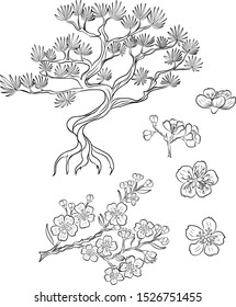 Branch of Cherry blossom on white.Vector illustration Sakura Flower,Nice Peach blossom isolated vector.Japanese floral.Chinese Pine tree.Symbol of Japan.