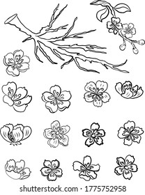 Branch of Cherry blossom on white.Vector illustration Sakura Flower,Nice Peach blossom isolated vector.Japanese floral.