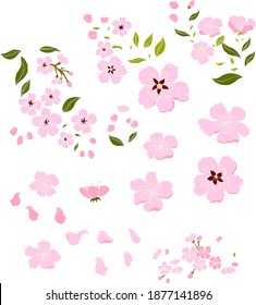 Branch of Cherry blossom on white.Vector illustration Sakura Flower,Nice Peach blossom isolated vector.Japanese floral.
