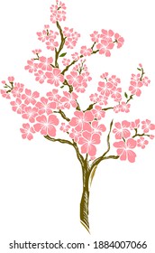 Branch of Cherry blossom on white.Vector illustration Sakura Flower,Nice Peach blossom isolated vector.Japanese floral.