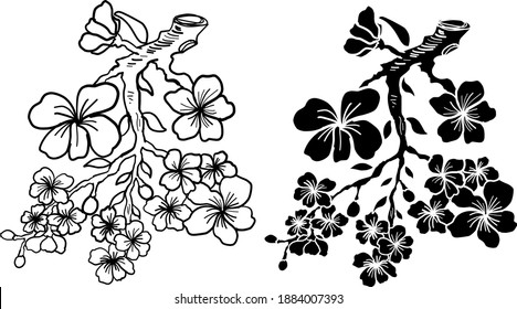 Branch of Cherry blossom on white.Vector illustration Sakura Flower,Nice Peach blossom isolated vector.Japanese floral.