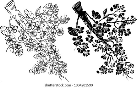 Branch of Cherry blossom on white.Vector illustration Sakura Flower,Nice Peach blossom isolated vector.Japanese floral.