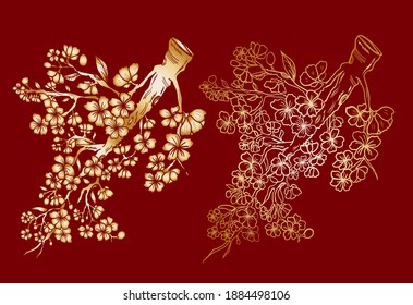 Rama de la flor del cerezo en blanco. Ilustración vectorial Sakura Flower, flor de la meseta Niza aislada vector.Floral japonesa.
