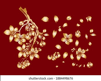 Branch of Cherry blossom on white.Vector illustration Sakura Flower,Nice Peach blossom isolated vector.Japanese floral.Nature background with blossom branch of sakura flower vector.Gold line apricot.