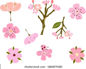 Branch of Cherry blossom on white.Vector illustration Sakura Flower,Nice Peach blossom isolated vector.Japanese floral.Nature background with blossom branch of sakura flower vector.Gold line apricot.