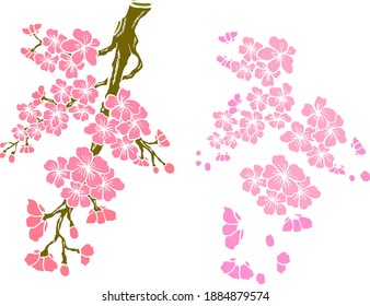 Branch of Cherry blossom on white.Vector illustration Sakura Flower,Nice Peach blossom isolated vector.Japanese floral.