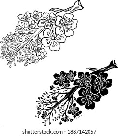 Zweig der Kirschblüte auf Weiß.Vektorgrafik Sakura Blume, Nizza Pfirsichblüte einzeln auf Vektorgrafik.Japanische Blüte.
