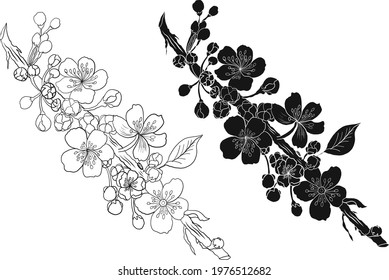 Branch of Cherry blossom on white.Vector illustration Sakura Flower,Nice Peach blossom isolated vector.Japanese floral.