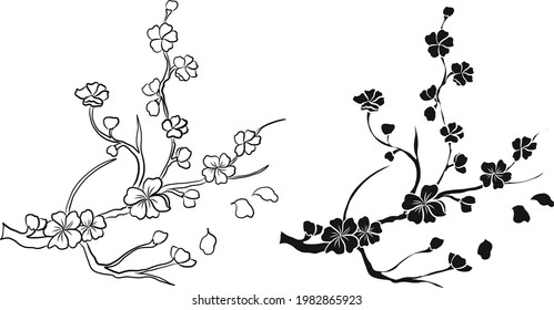 Branch of Cherry blossom on white.Vector illustration Sakura Flower,Nice Peach blossom isolated vector.Japanese floral.Nature background with blossom branch of sakura flower vector on isolate.