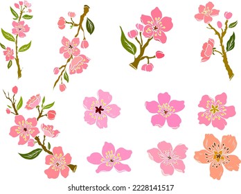 Branch of Cherry blossom on white.Vector illustration Sakura Flower,Nice Peach blossom isolated vector.Japanese floral.