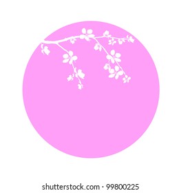 Branch of cherry blossom in pink circle
