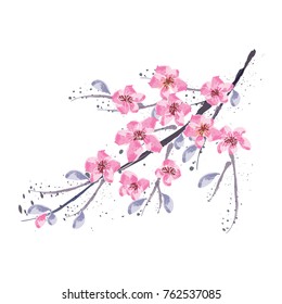 Branch of Cherry blossom , Vector illustration. 